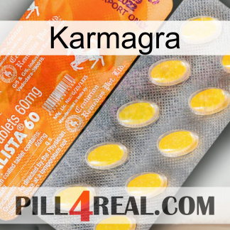 Karmagra new05